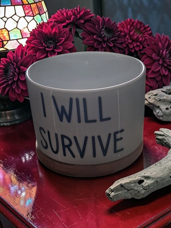 Other - I Will Survive Ceramic Planter with Bamboo Tray